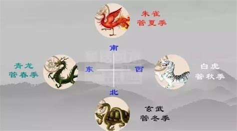 風水 青龍|左青龍右白虎：一招教你學會風水中的“四靈山訣”